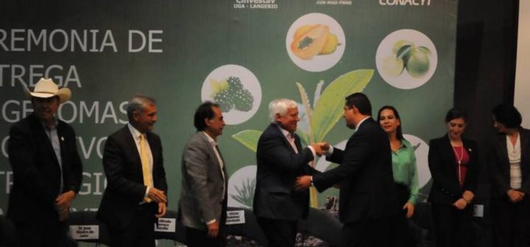 Guanajuato provee genoma de cultivos estratégicos
