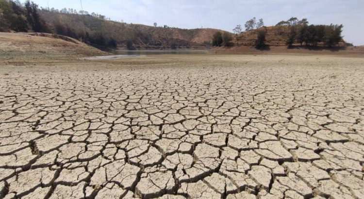 En Guanajuato 42 municipios presentan sequía