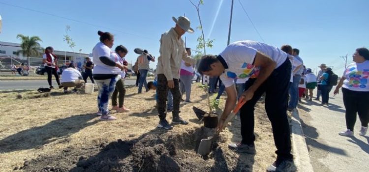 Se han plantado alrededor de 3 mil árboles en Celaya