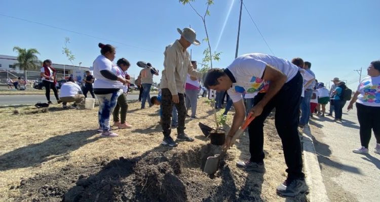 Se han plantado alrededor de 3 mil árboles en Celaya