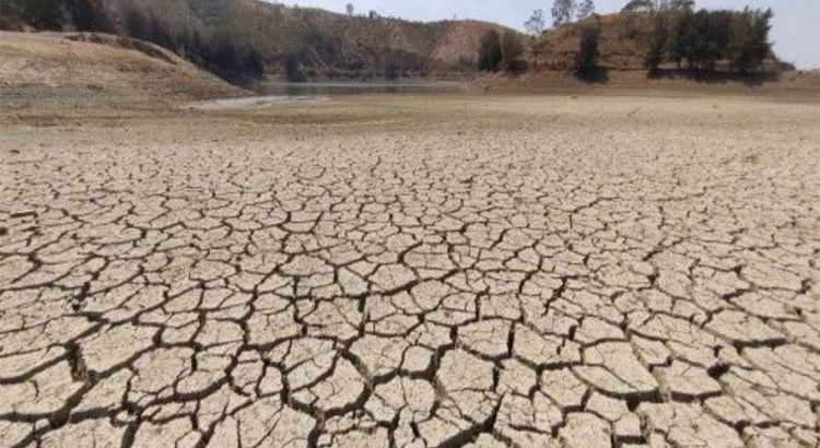 Guanajuato presenta sequía en gran parte de sus municipios