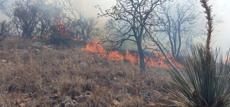 Guanajuato: Consume incendio forestal 590 hectáreas en la Sierra Gorda