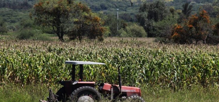 Gobierno de Guanajuato busca ayudar a productores de campo con políticas públicas