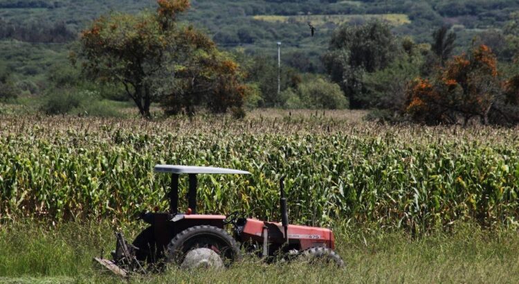 Gobierno de Guanajuato busca ayudar a productores de campo con políticas públicas