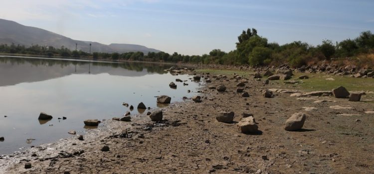 Las lluvias en Guanajuato han reducido los municipios que tenían sequía exepcional