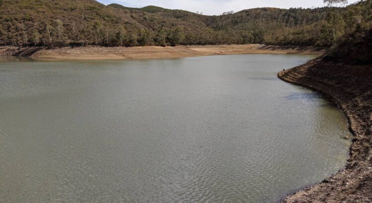 Principales presas de Guanajuato están al 17 por ciento de alcanzar su nivel de captación