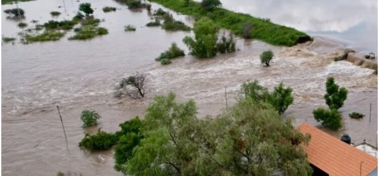 Presa de Guanajuato se desborda sobre 30 hectáreas de cultivo