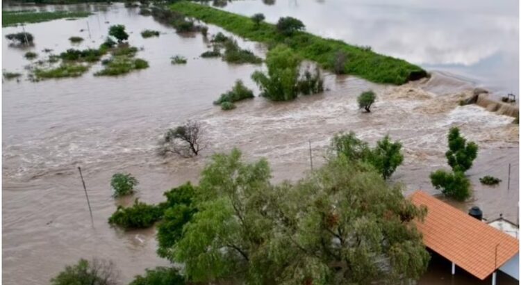 Presa de Guanajuato se desborda sobre 30 hectáreas de cultivo