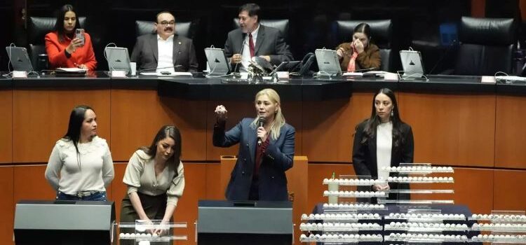 El Senado sortea más de 700 cargos judiciales rumbo a las elecciones de 2025