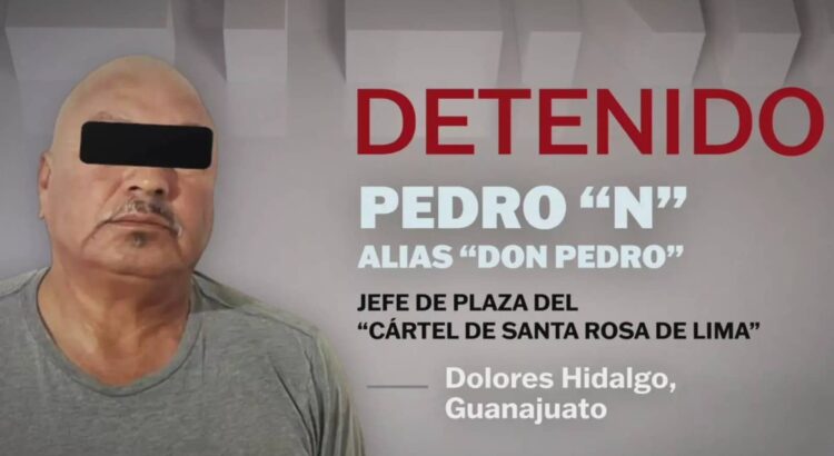 Detienen a «Don Pedro», jefe del Cártel de Santa Rosa de Lima en Guanajuato